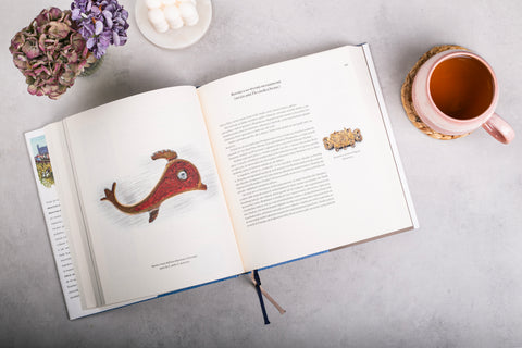 Päť kníh o Bratislave; Prvá kniha o Bratislave