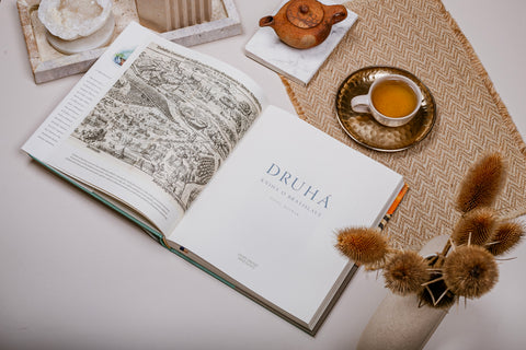 Päť kníh o Bratislave; Druhá kniha o Bratislave