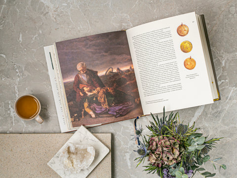 Päť kníh o Bratislave; Tretia kniha o Bratislave